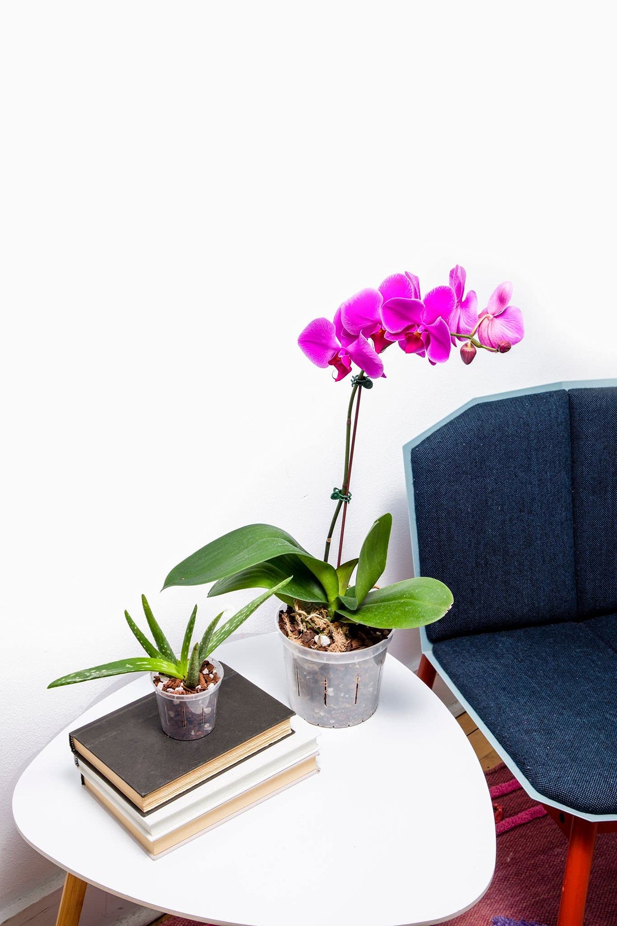 rePotme orchid-friendly pot with drainage for African violets
