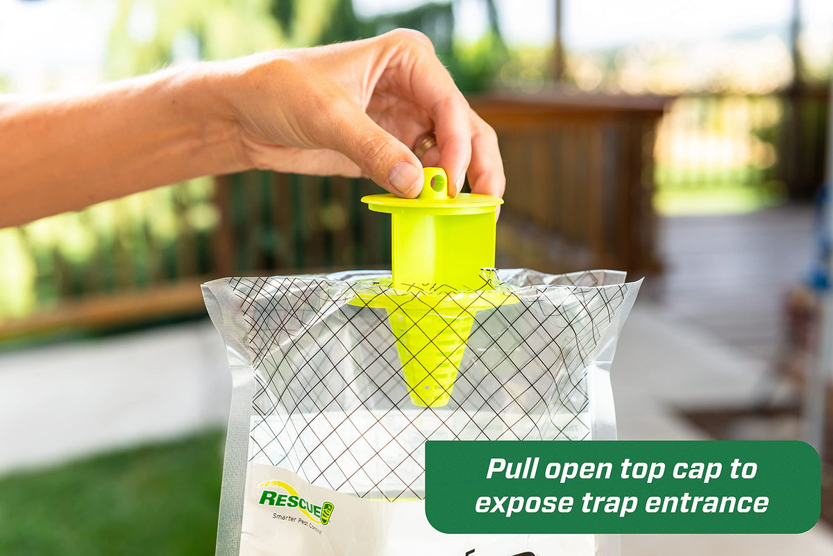 RESCUE! Big Bag Fly Trap activation with water leads to quick capture.