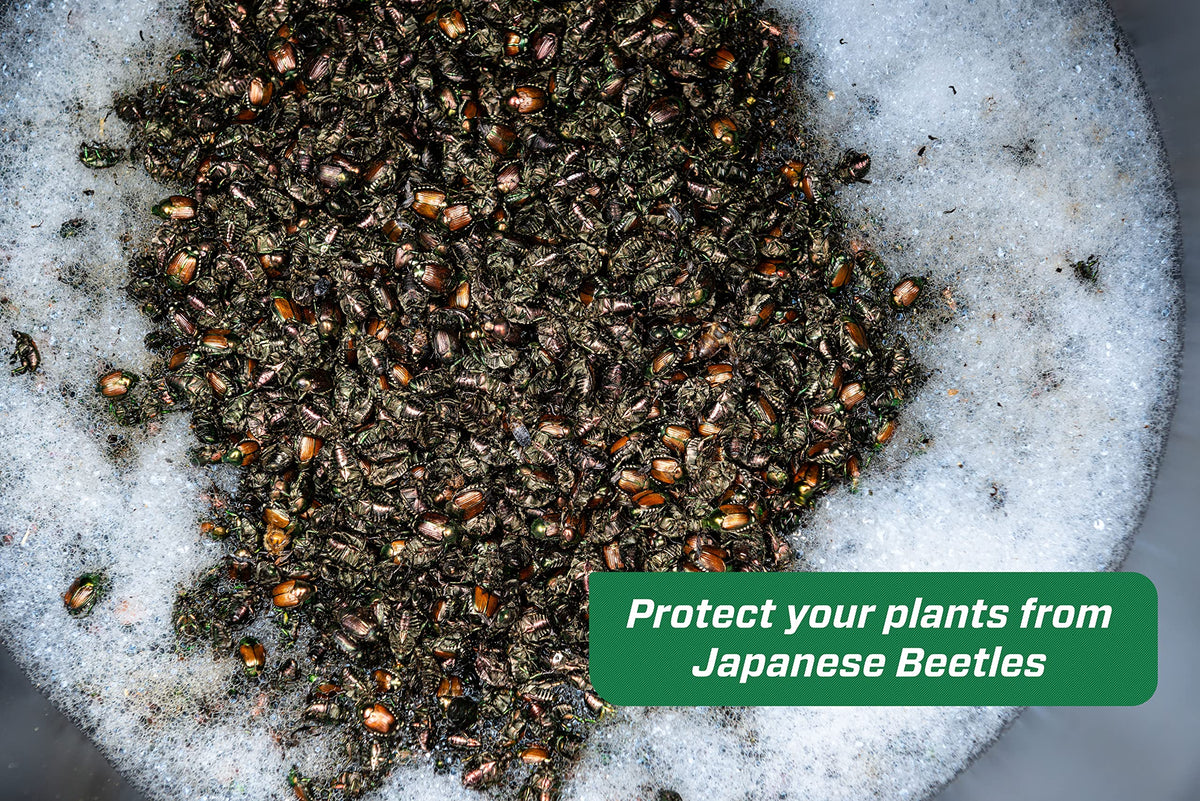 RESCUE! Japanese Beetle Trap USA-made design supports reliable garden protection.