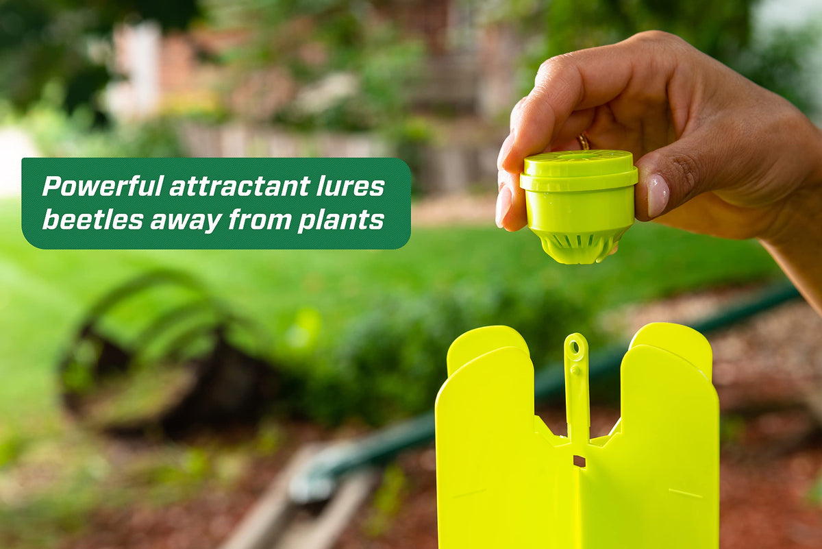 RESCUE! Japanese Beetle Trap reusable bag captures beetles for easy disposal.