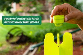 RESCUE! Japanese Beetle Trap reusable bag captures beetles for easy disposal.