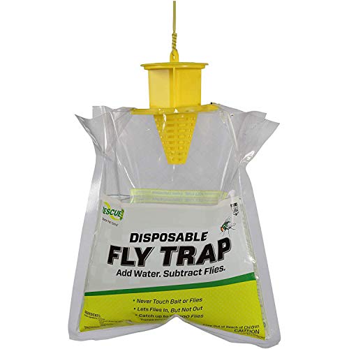 RESCUE! Trap placed near garbage can for targeted outdoor fly control.
