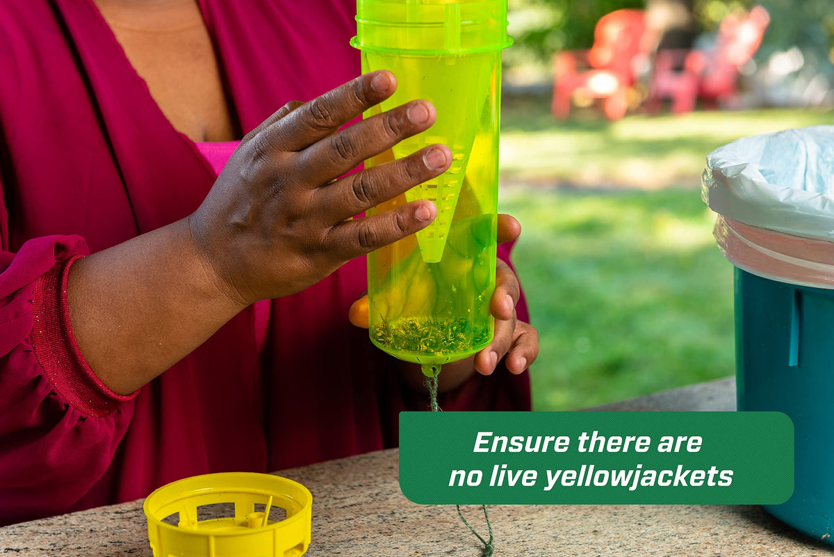 Trap entry holes guide yellowjackets toward the attractant lure.