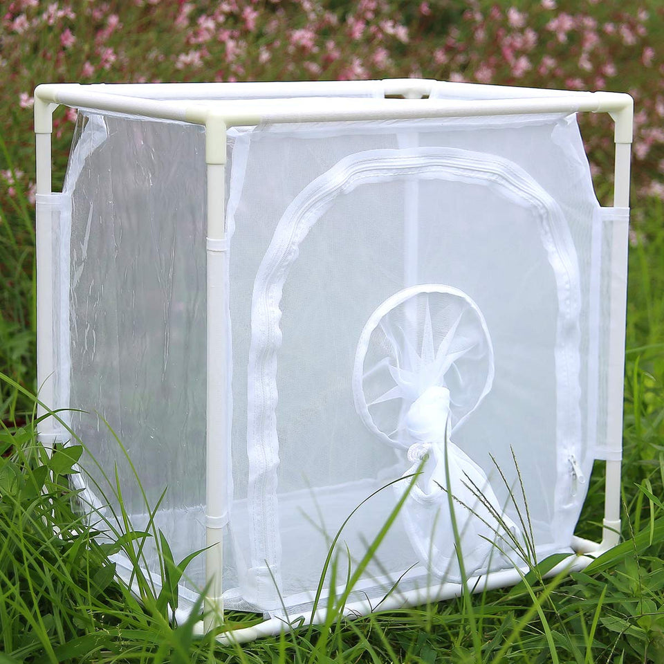 RESTCLOUD Monarch habitat exterior shows a sturdy weather-resistant enclosure for outdoor use.