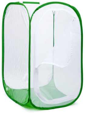 RESTCLOUD monarch habitat assembled view for stable butterfly rearing in a large square enclosure