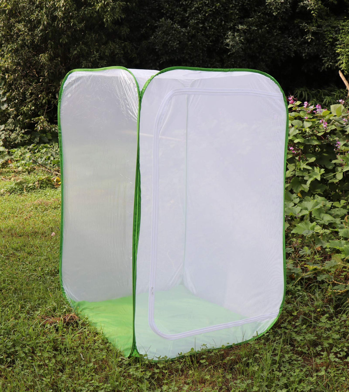 RESTCLOUD monarch habitat clear window for observing caterpillars turning into chrysalides