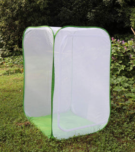 RESTCLOUD monarch habitat clear window for observing caterpillars turning into chrysalides
