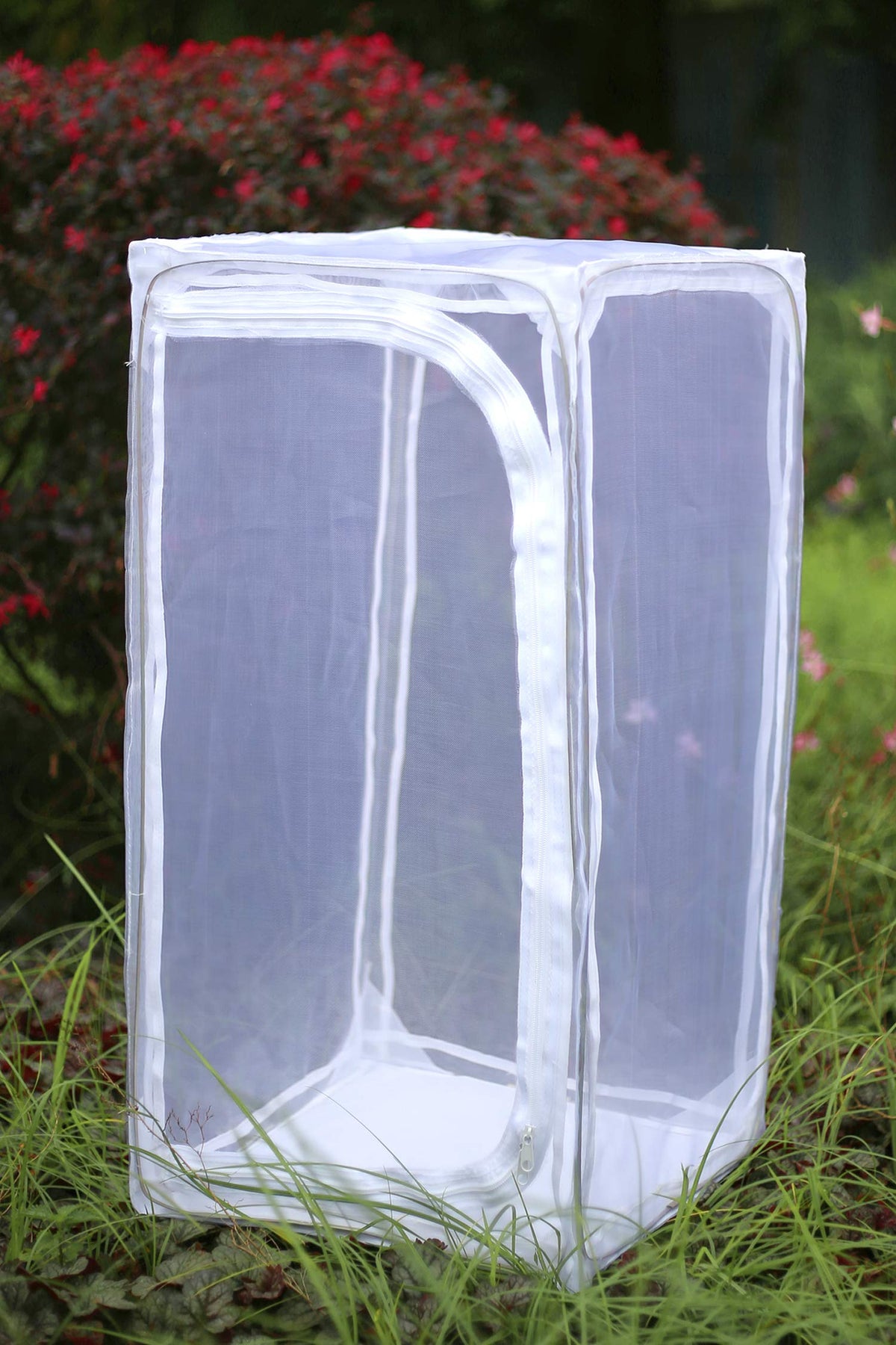 RESTCLOUD monarch habitat dimensions 15x15x30 inches, stable and roomy for multiple caterpillars.