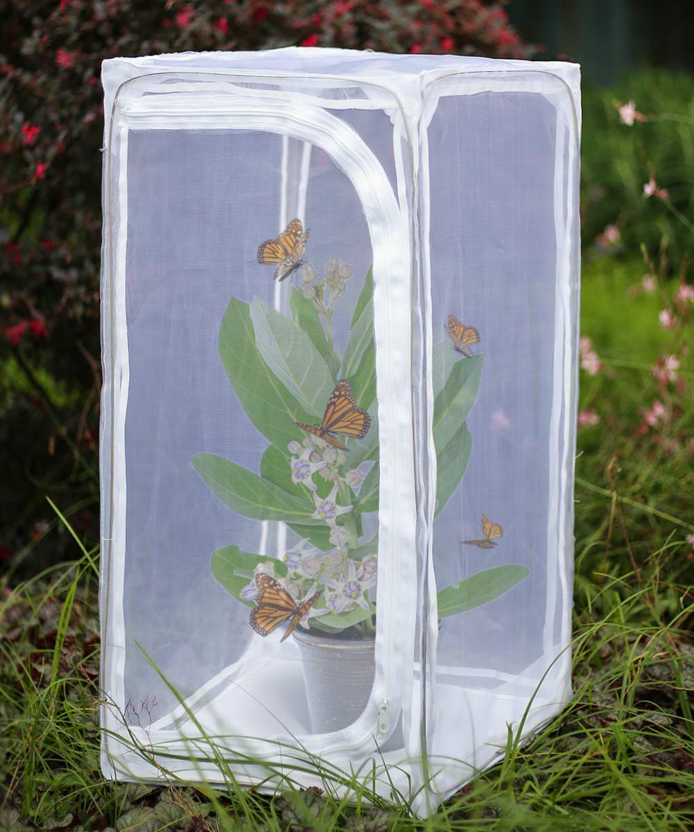 RESTCLOUD monarch habitat outdoor view showing sturdy frame and breathable mesh for ventilation.