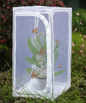 RESTCLOUD monarch habitat outdoor view showing sturdy frame and breathable mesh for ventilation.