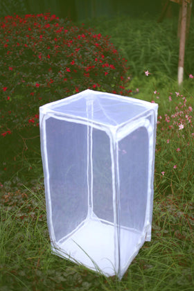 RESTCLOUD monarch habitat side door open for easy feeding and gentle release.