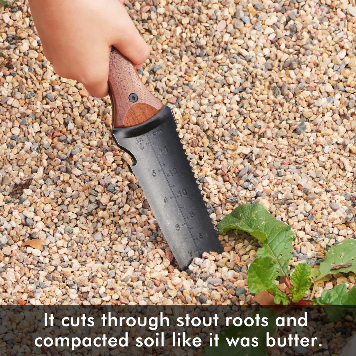 Restmo depth gauge aids accurate planting depth measurements.