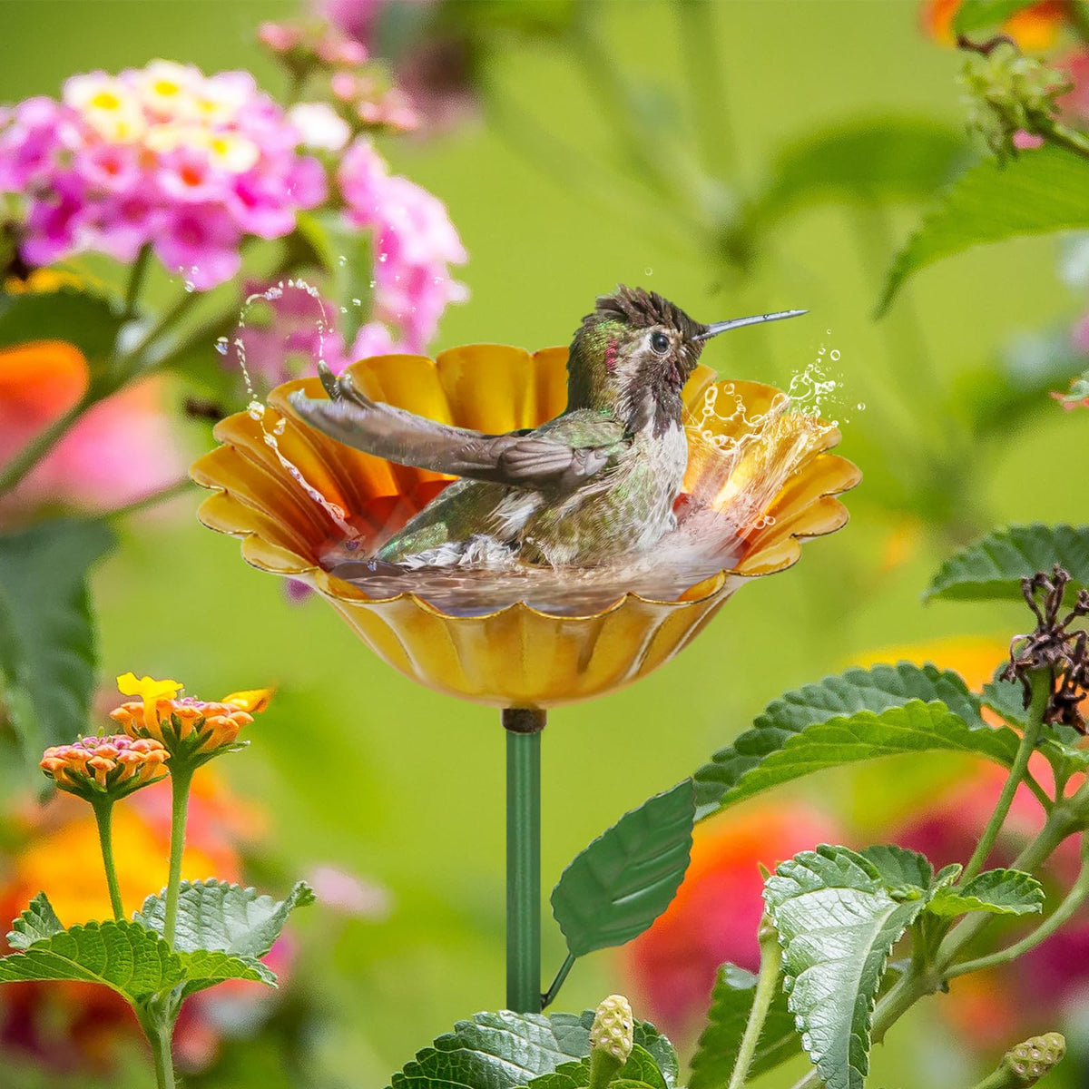 Retyion butterfly feeder with colorful flower design brightens outdoor decor