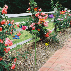 Retyion decorative garden piece provides a colorful pollinator water source