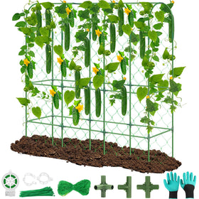 REVICOAR 65x48 U-shape trellis providing sturdy climbing support for cucumbers