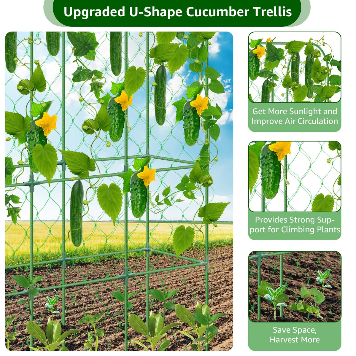 REVICOAR assembled U-shape trellis showing easy assembly and neat garden layout