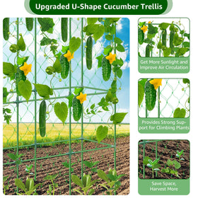 REVICOAR assembled U-shape trellis showing easy assembly and neat garden layout