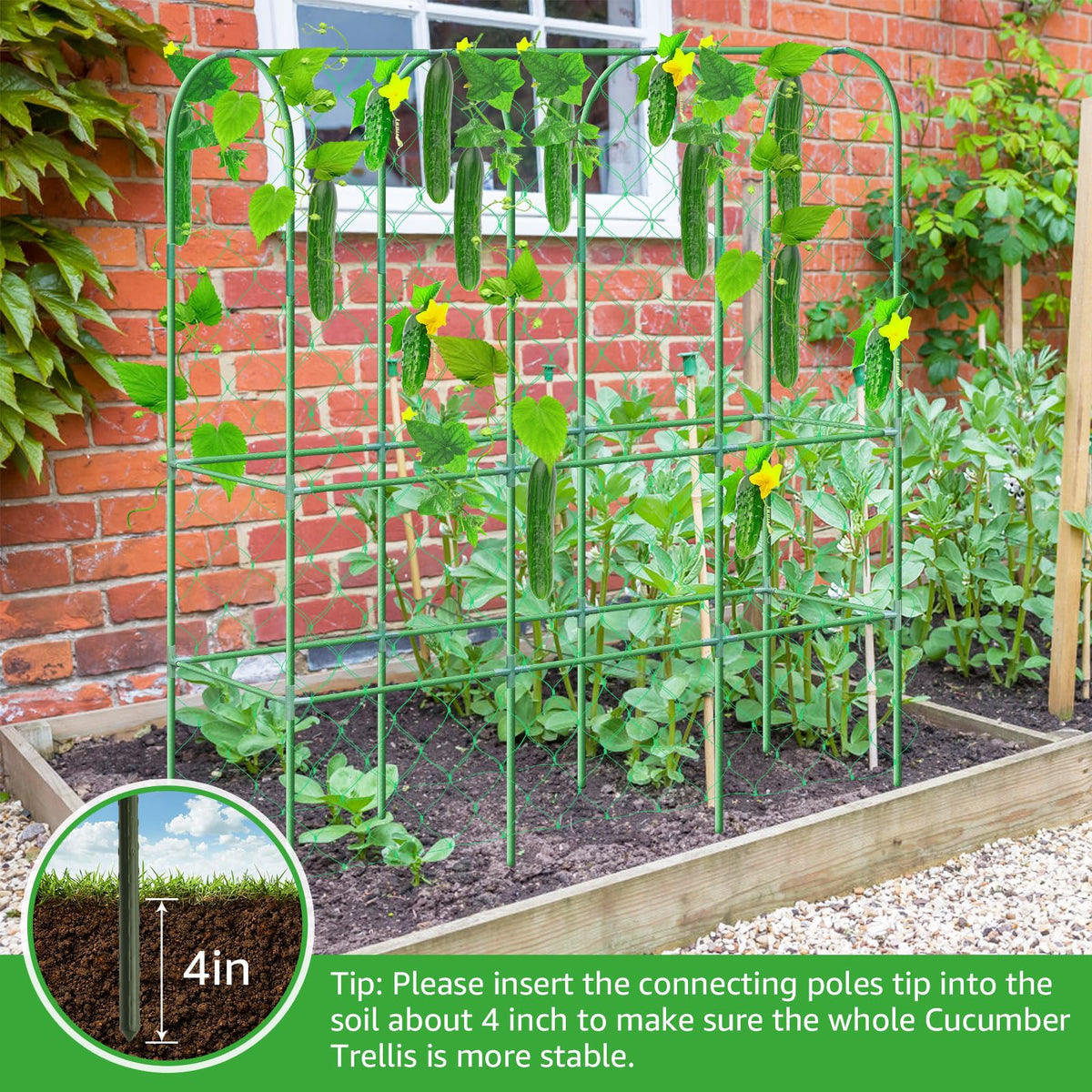 REVICOAR trellis netting supports dense vine growth for organized fruiting