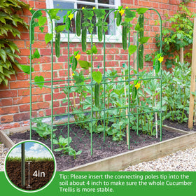 REVICOAR trellis netting supports dense vine growth for organized fruiting