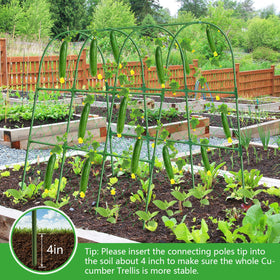 REVICOAR trellis netting and included accessories for secure setup