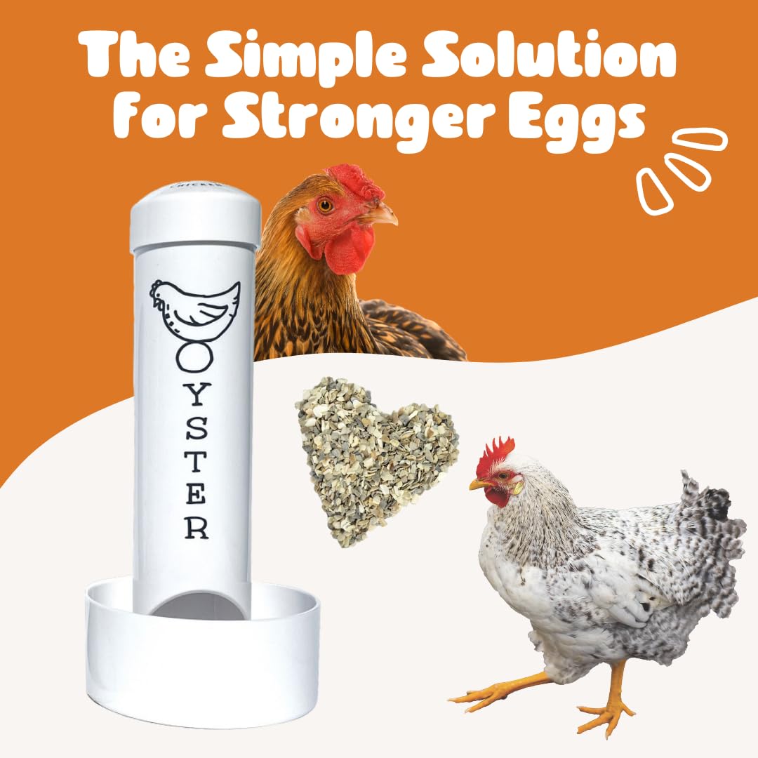 Revolutionary Chicken oyster shell feeder offers a safe calcium option for hens.
