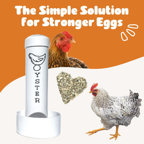 Revolutionary Chicken oyster shell feeder offers a safe calcium option for hens.