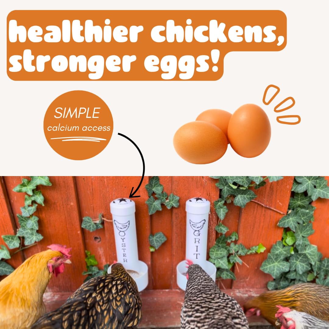 Revolutionary Chicken oyster shell feeder holds up to three pounds of shells.
