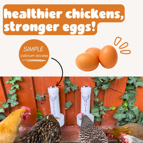 Revolutionary Chicken oyster shell feeder holds up to three pounds of shells.
