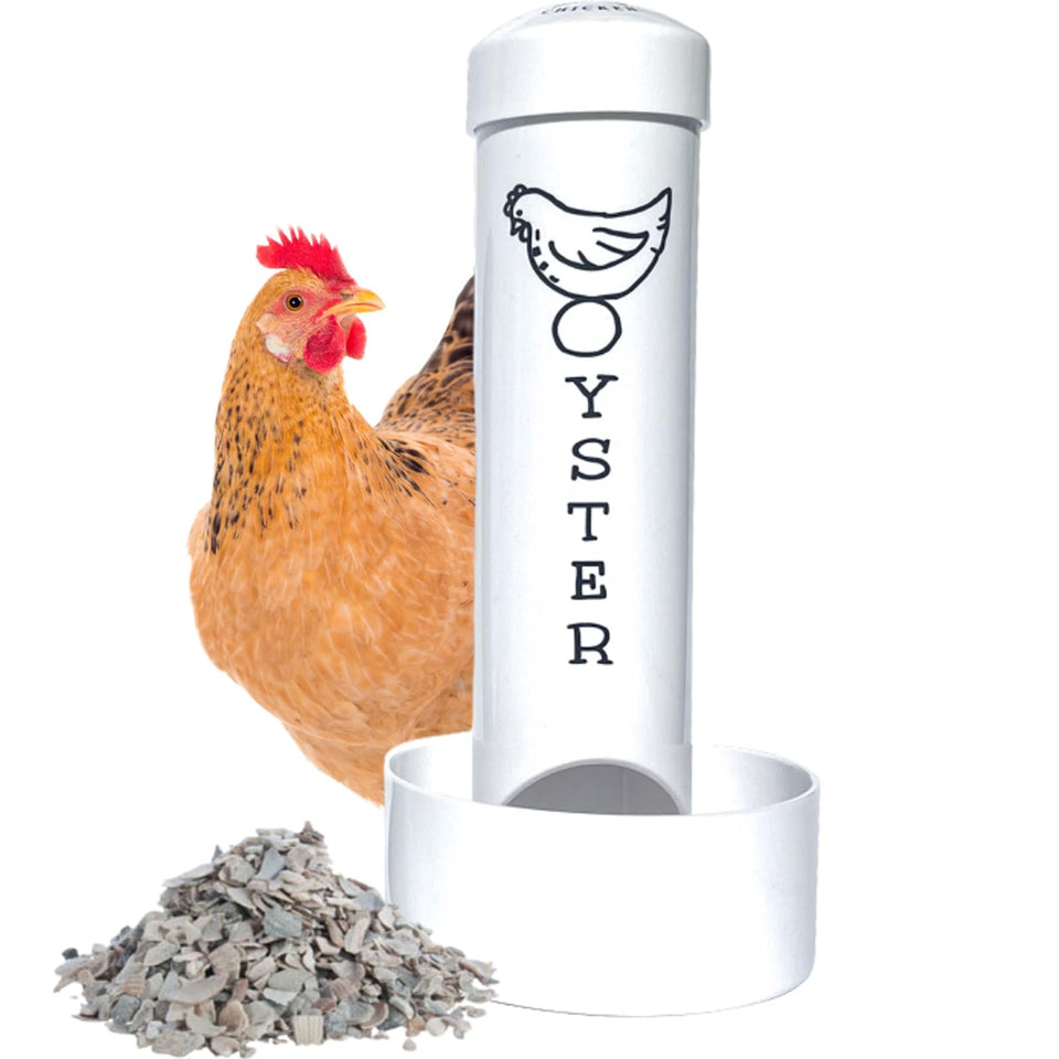 Revolutionary Chicken oyster shell feeder mounted on coop for easy calcium access.