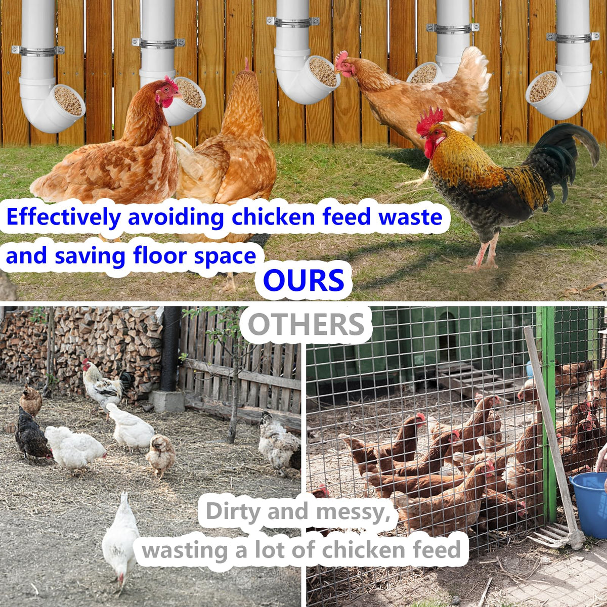 Rexwnadu six-chickens feeding close-up shows head-in access that minimizes waste.