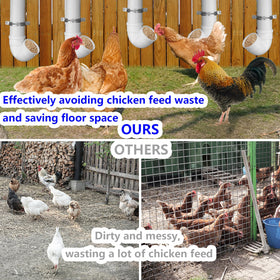 Rexwnadu six-chickens feeding close-up shows head-in access that minimizes waste.