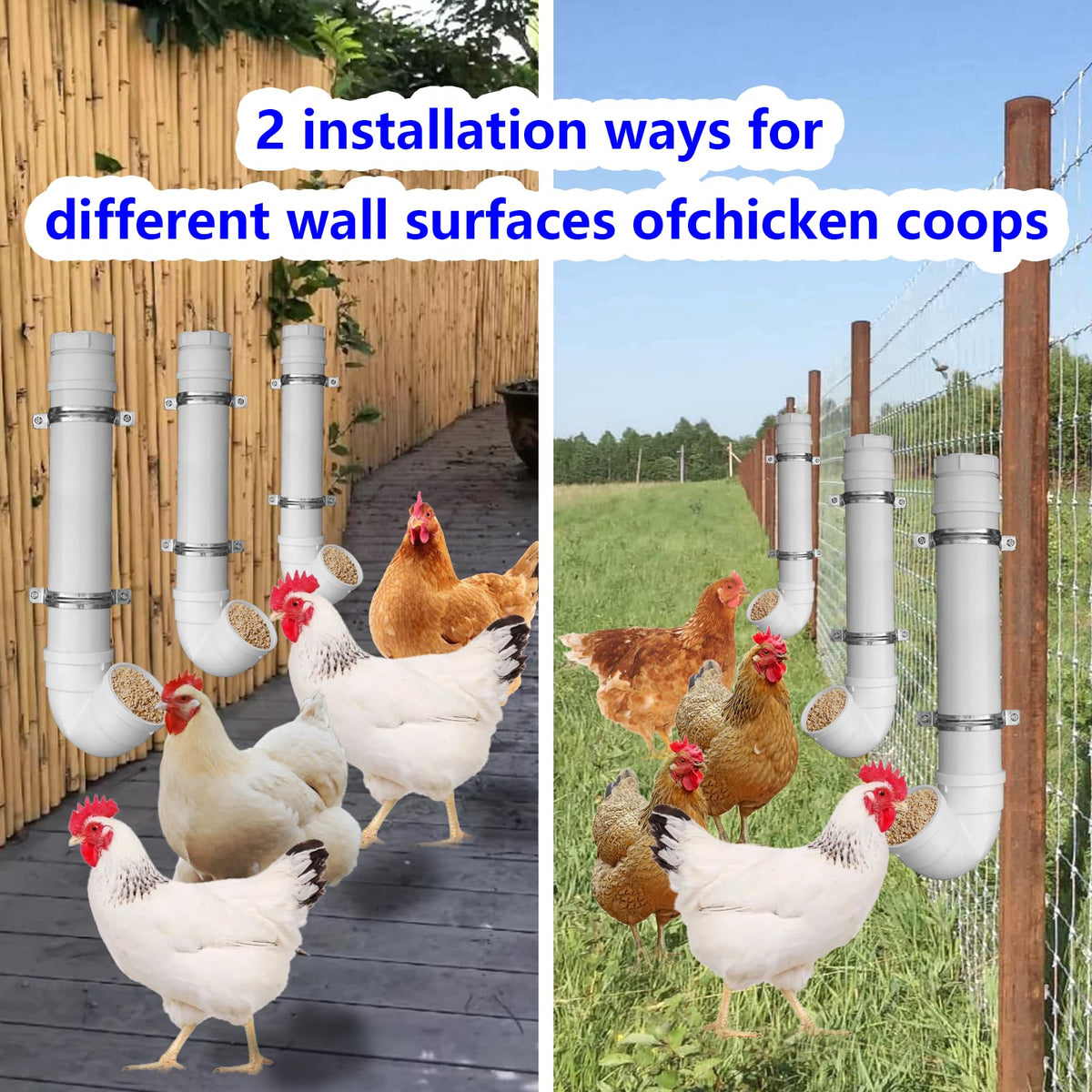 Rexwnadu outdoor coop use shows placement away from water sources for longevity.