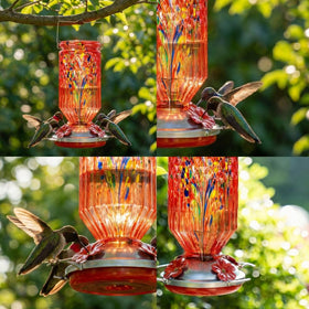 REZIPO colorful glass design enhances outdoor décor and invites lively bird visits.