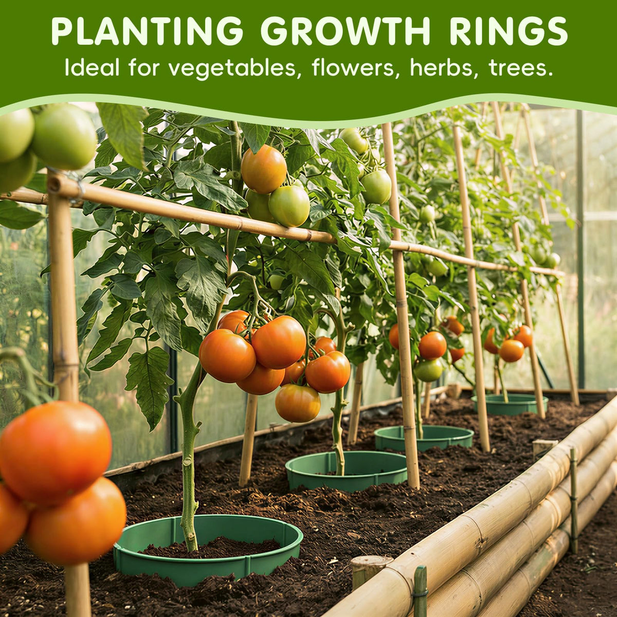 Rhino Valley adjustable diameter planting ring demonstrates scalable sizing for various plants