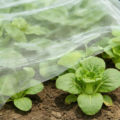 RHOttbiy garden netting covering vegetables provides pest protection with full sun exposure.
