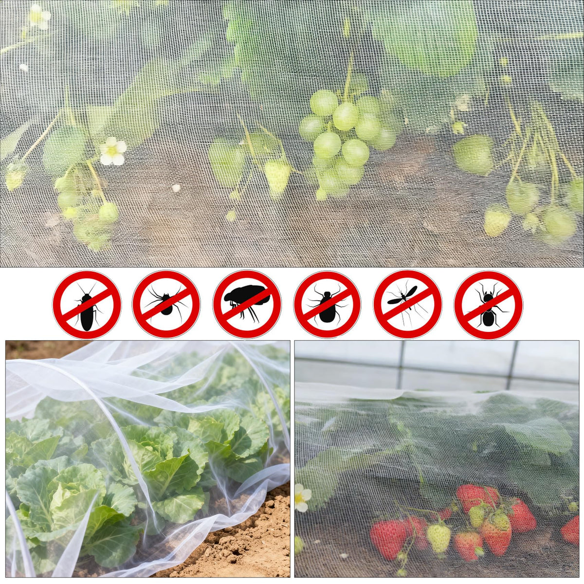 RHOttbiy protects crops like cabbage and berries from birds and insects.