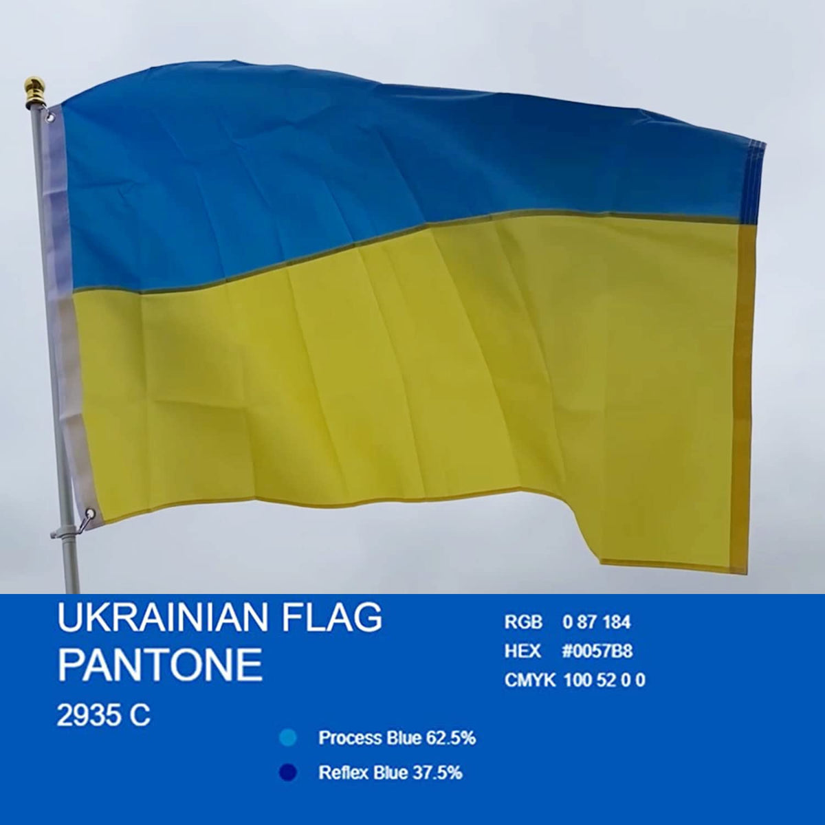 Rhungift flag displayed outdoors on a pole for outdoor display use.