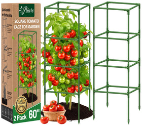 Riare 60-inch square tomato cage provides stable support for tall plants.