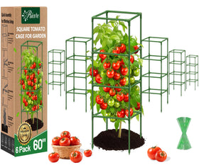 Riare 6-pack square tomato cages ready for stable vertical support in gardens.