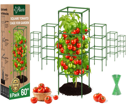 Riare 6-pack square tomato cages ready for stable vertical support in gardens.
