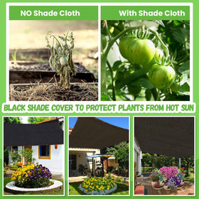 Riare shade cloth protects chicken coop from direct sun.