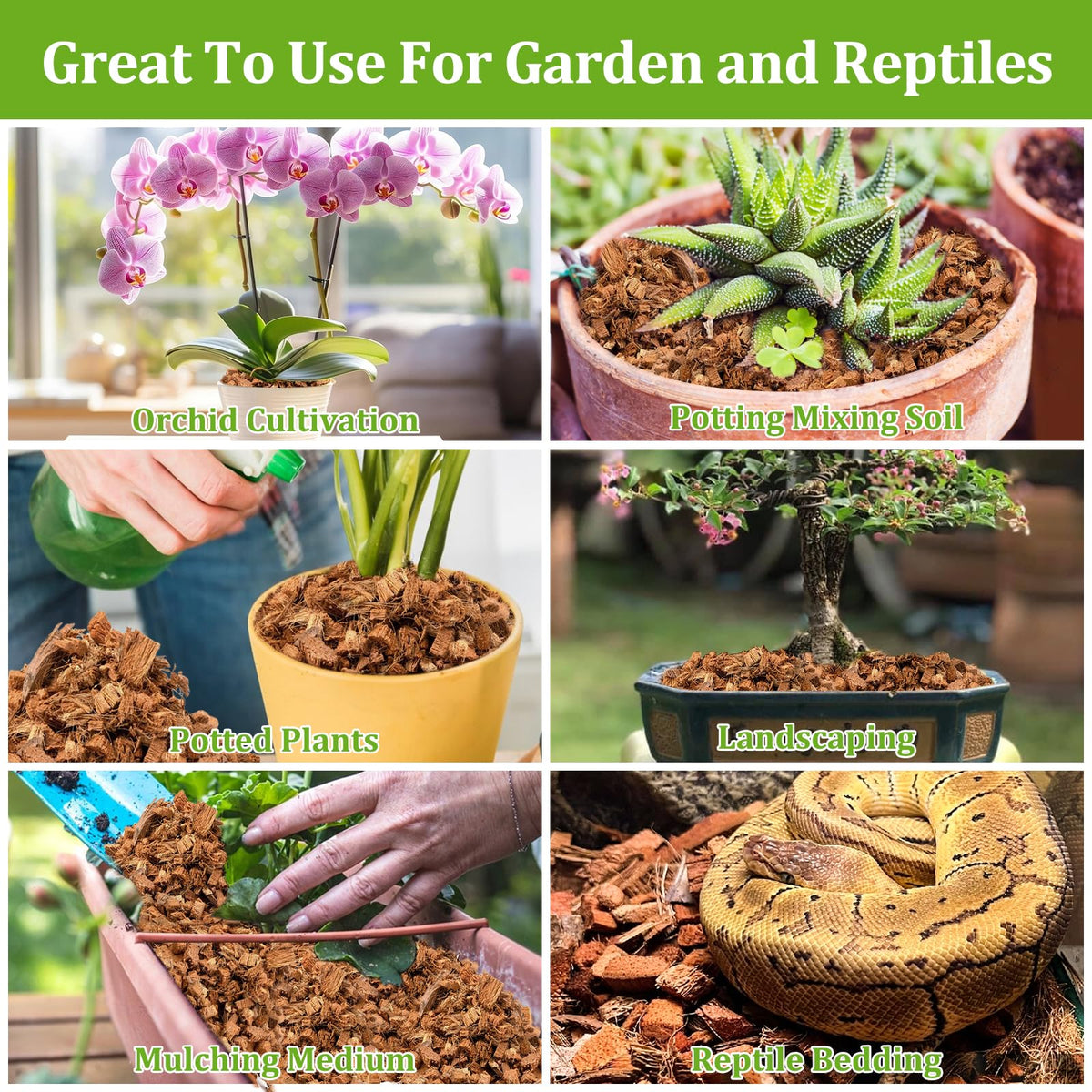 Riare Coco Chips mulch usage for indoor and outdoor plants