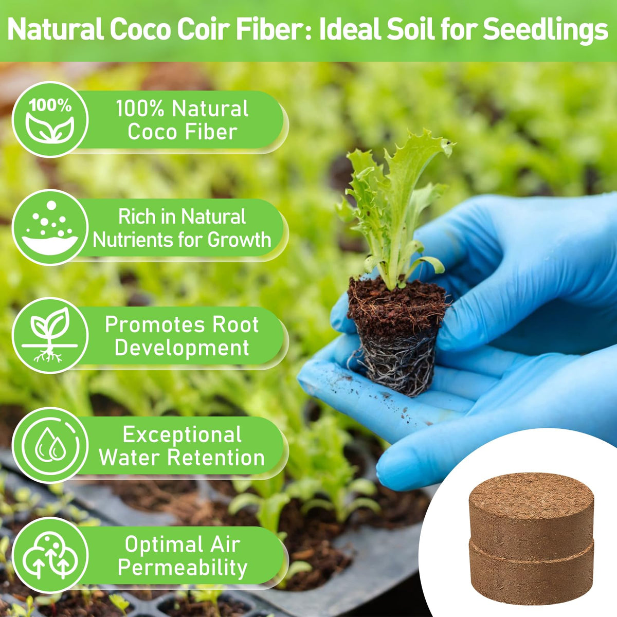 Riare coco coir airy texture promotes even root growth and oxygen access