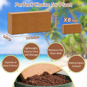 Riare coco coir brick compressed form demonstrates space-saving substrate ready for expansion.