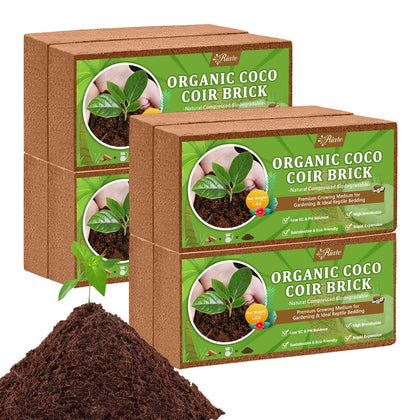 Riare coco coir brick packaging shows compact, eco-friendly form for storage.