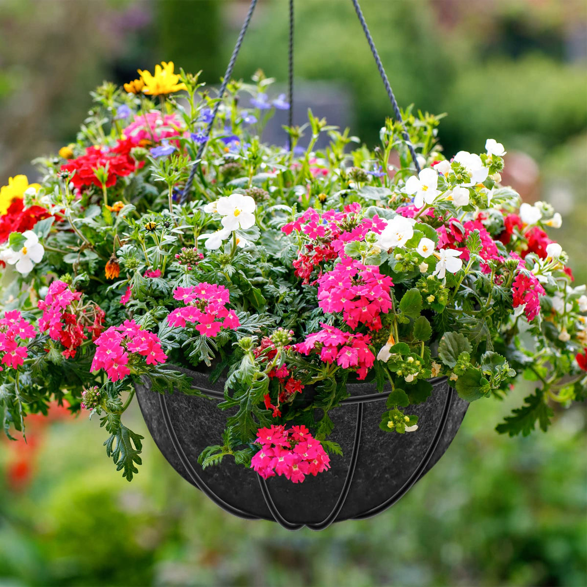 Riare quick-install liner fits standard 12-inch baskets for easy setup