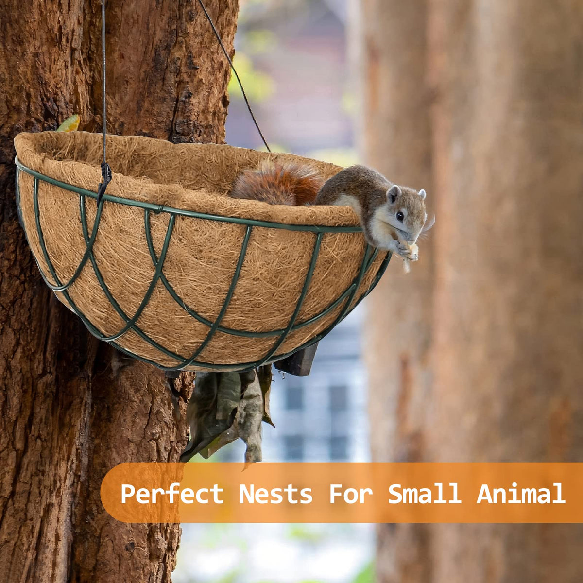 Riare coconut fiber liners create lush low maintenance planter displays
