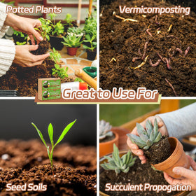 Riare coco coir brick serves as a versatile soil substitute for garden projects.