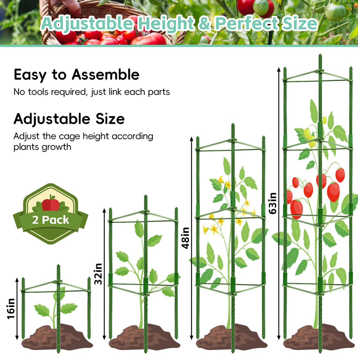 Riare heavy-duty garden stakes keep plants upright through wind and rain.