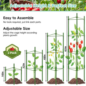 Riare heavy-duty garden stakes keep plants upright through wind and rain.